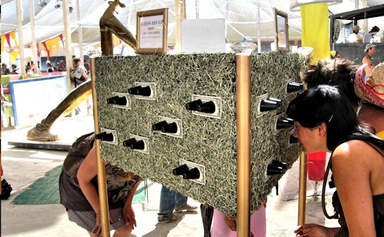 Stereoscopic image viewer display in center camp 2008
